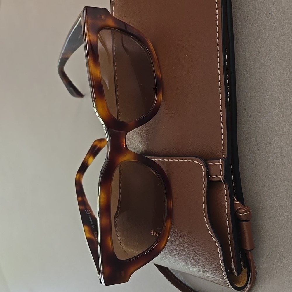 Celine Monochroms Geometric Sunglas With Brown Leather Sunglasses Bag - Picture 2 of 9